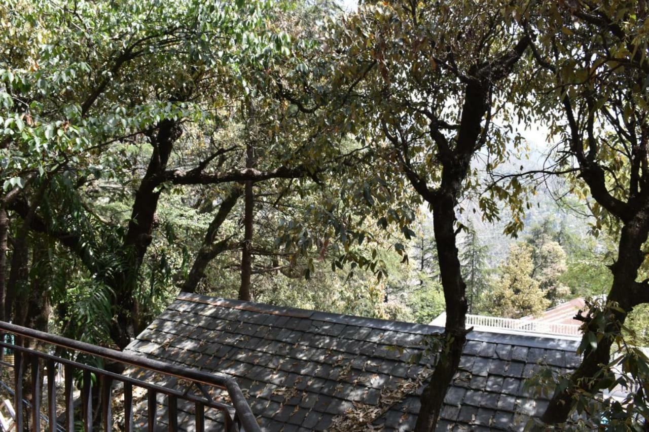 Misty Woods Hotel Дхарамсала Екстериор снимка